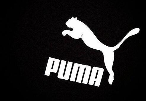 puma为什么有豹子图案有些没有（一头豹子是什么牌子）(1)
