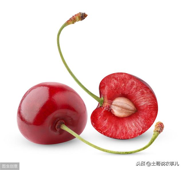 大樱桃的营养价值功效与作用（大樱桃需要的营养元素及作用）(3)