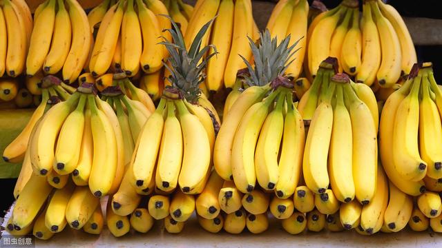 香蕉怎么样种植好（你知道是怎么种植的吗）(1)