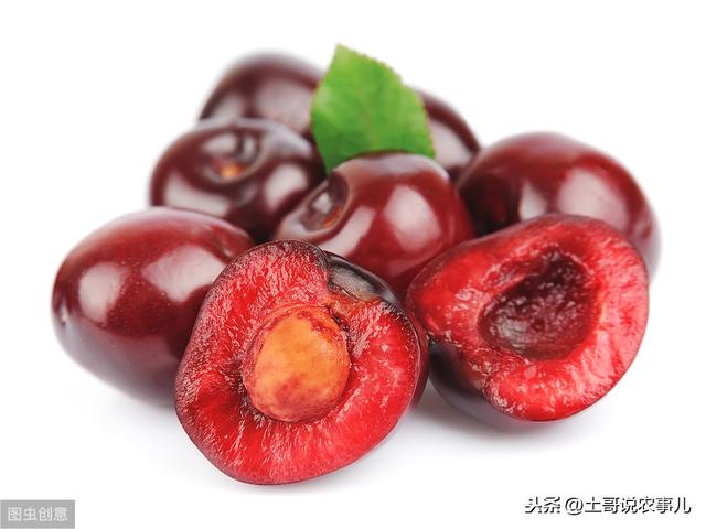 大樱桃的营养价值功效与作用（大樱桃需要的营养元素及作用）(6)