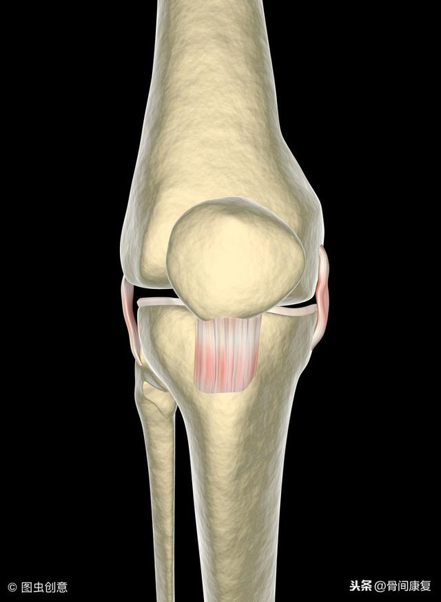 膝关节术后弯腿康复（膝关节术后掰腿不用怕）(6)
