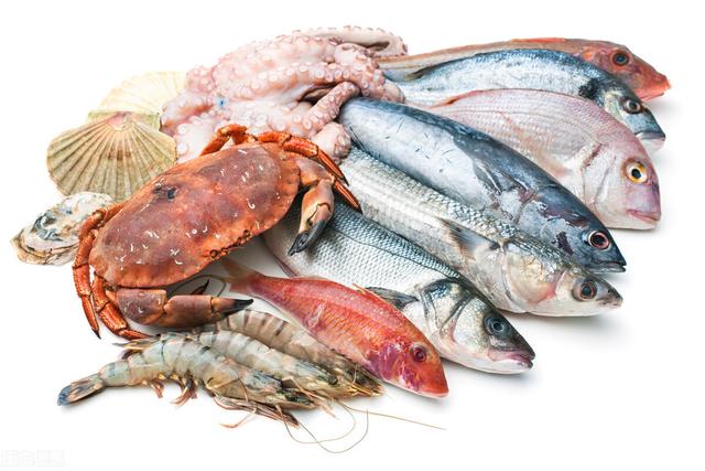 海鲜与肉类的营养价值（肉类和水产品的营养价值）(3)