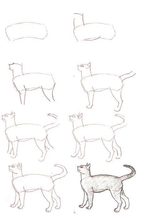 猫咪该怎么画可爱呆萌（那么喜欢猫星人）(10)