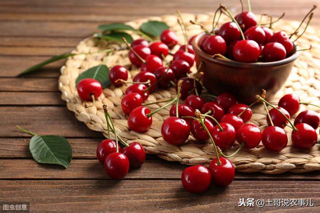 大樱桃的营养价值功效与作用（大樱桃需要的营养元素及作用）(5)