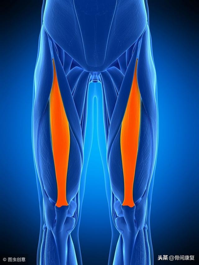 膝关节术后弯腿康复（膝关节术后掰腿不用怕）(5)
