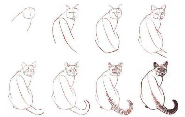 猫咪该怎么画可爱呆萌（那么喜欢猫星人）(9)
