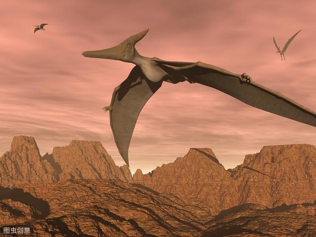 恐龙是如何变成鸟儿飞上天的（恐龙不会发明飞机）(2)