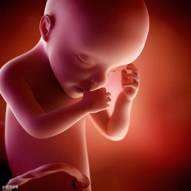 怀孕8个月胎儿图（怀孕8个月胎儿长什么样）(4)