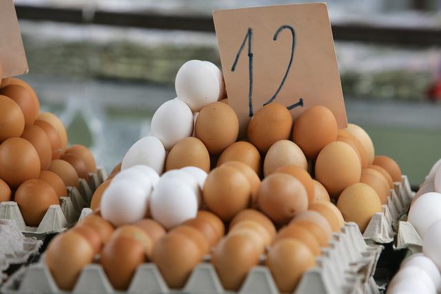 鸡蛋多少钱一斤正常（今年刚开始鸡蛋）