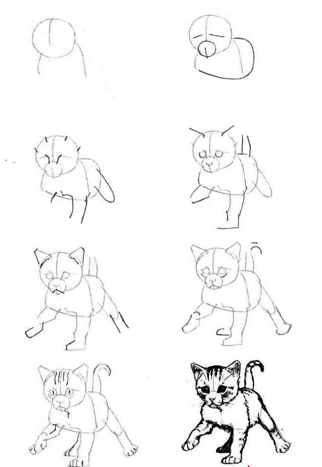 猫咪该怎么画可爱呆萌（那么喜欢猫星人）(12)