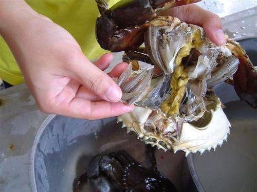 螃蟹怎么洗干净吃了有什么好处（家常洗螃蟹的方法）(4)