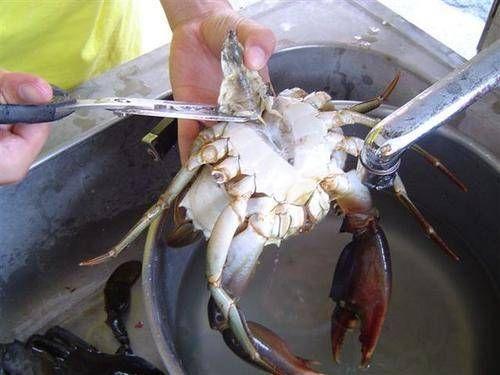 螃蟹怎么洗干净吃了有什么好处（家常洗螃蟹的方法）(2)