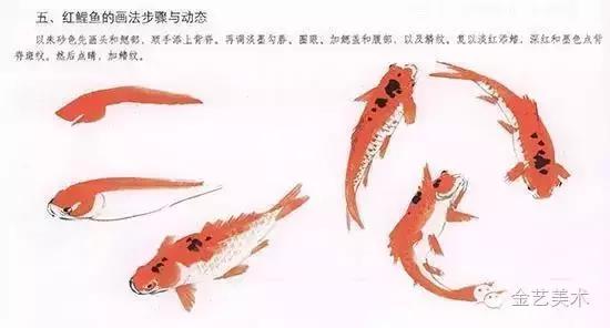 鱼的国画画法步骤（教您画国画-鱼的写意技法）(4)