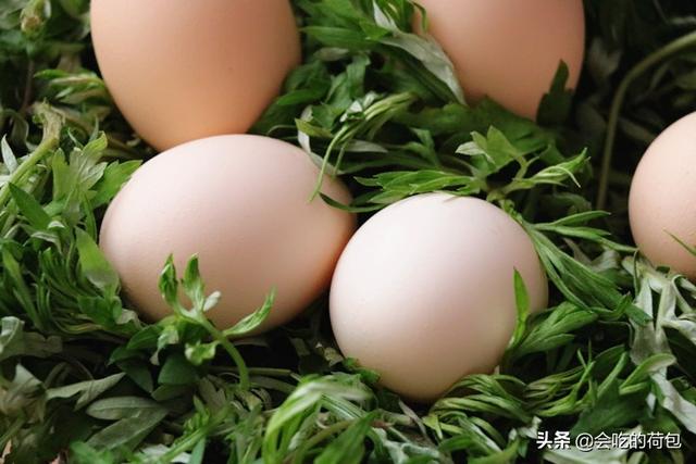 老年人能吃艾叶煮鸡蛋吗（鸡蛋和艾叶80岁奶奶吃了30年）(1)