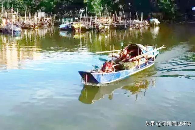 深圳适合旅游的小渔村（深圳周边的5个小渔村）(23)