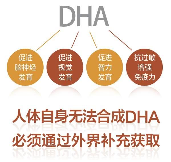 孕期需要补充dha吗要吃多长时间（怀孕后多久可以补充DHA）(6)