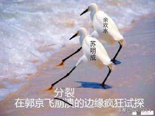 余欢水郭京飞电视剧解说（余欢水郭京飞翻身仗）(11)