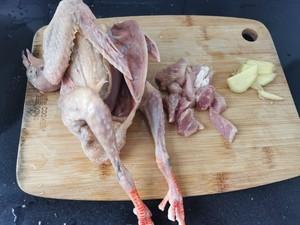 鸽子汤的制作方法窍门（自制美味鸽子汤）(1)