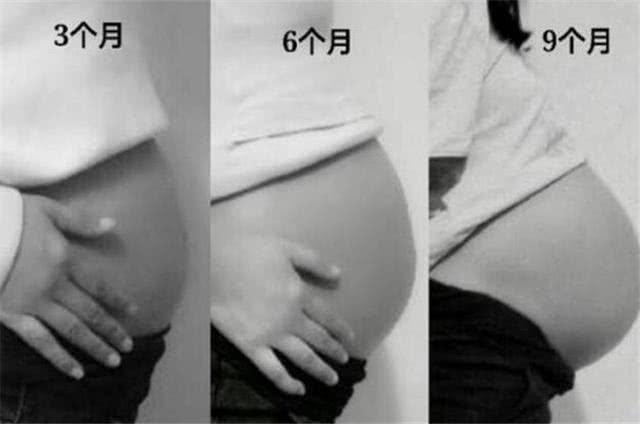 怀孕三个月宝宝发育标准图（胎儿3个月6个月9个月长啥样）(2)