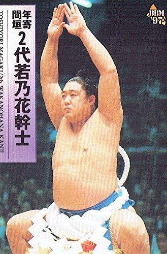 日本相扑高手大全（日本大相扑文化与竞技）(6)
