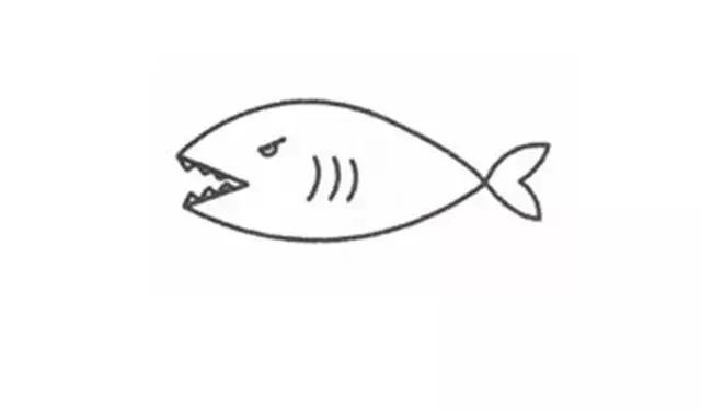 鲨鱼怎么画简笔画可爱又简单（简笔画儿童简笔画）(4)