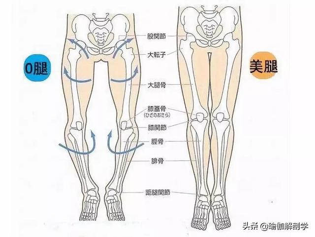 x型腿矫正的瑜伽方法（练瑜伽什么是）(5)