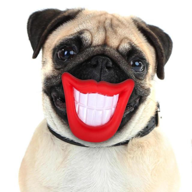狗狗为什么看起来总在笑（你以为狗狗在笑）(2)