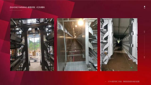 南京自动化层叠式蛋鸡笼厂家（层叠式蛋鸡笼养设备的研发应用）(2)