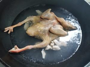 鸽子汤的制作方法窍门（自制美味鸽子汤）(2)