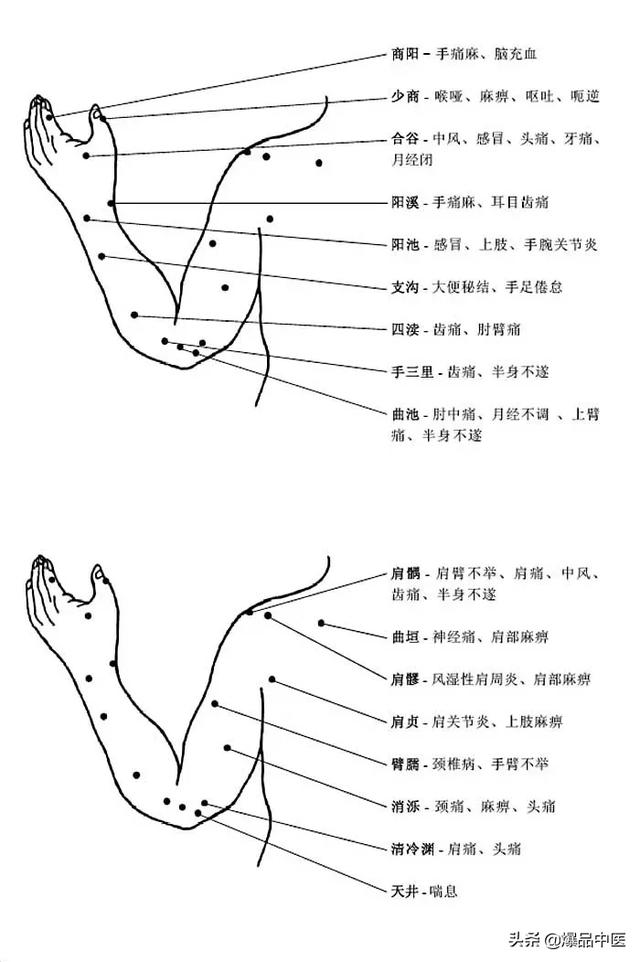 人体穴位经脉图及作用（图解-人体穴位）(7)