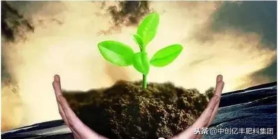 植物根生长的秘密（植物根系的秘密）(5)