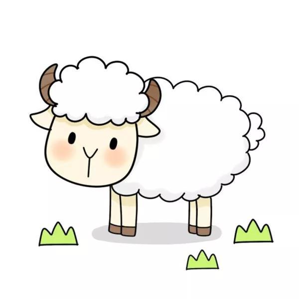 绵羊怎么画简笔画步骤（简笔画教程可爱的羊咩咩）(7)