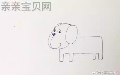 小狗简笔画入门动物0-3岁（简笔画课堂小狗）(4)