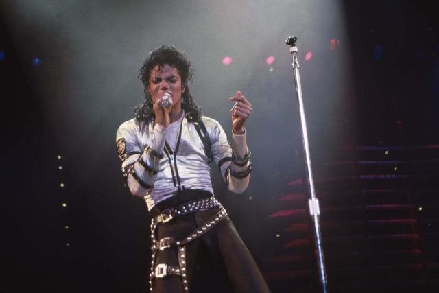 迈克尔杰克逊最危险一场演唱会（被载入吉尼斯世界纪录的巡演）(8)