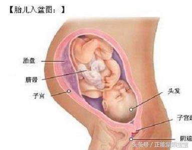 胎儿入盆孕妇有什么感觉和症状（胎儿入盆孕妈会出现哪些症状）(2)