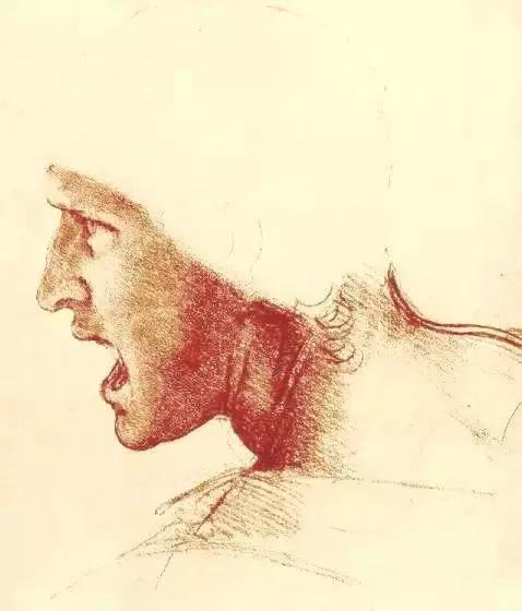 达芬奇最出名的画作怎么画（芬奇绘画作品全集）(30)