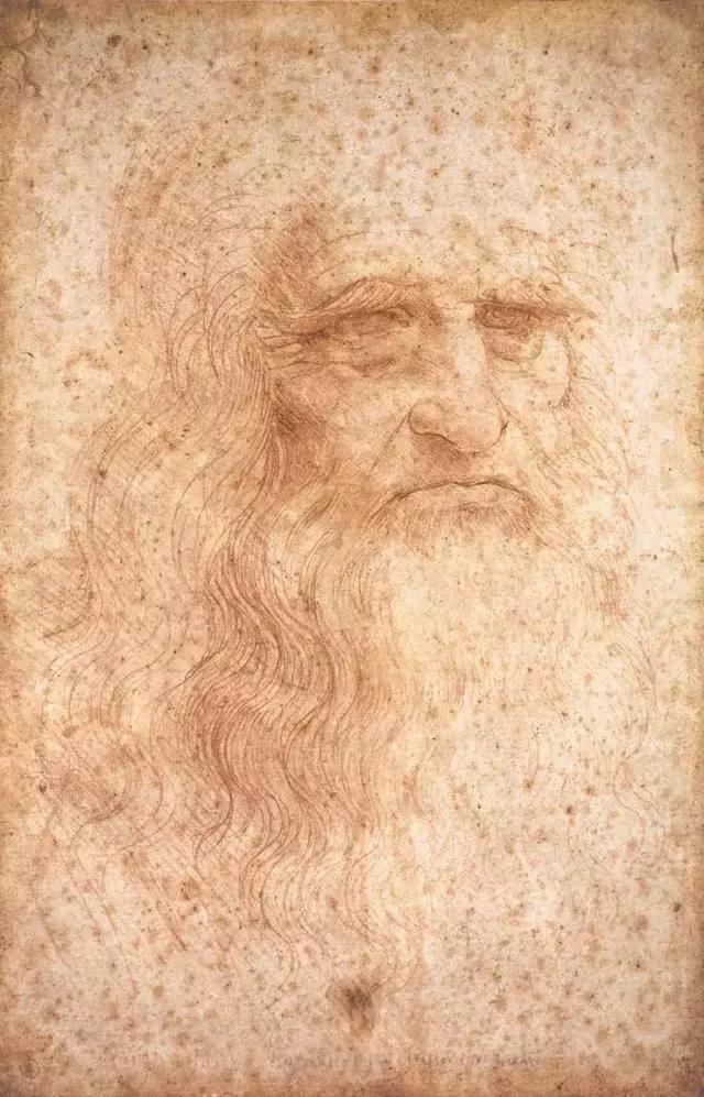 达芬奇最出名的画作怎么画（芬奇绘画作品全集）(25)