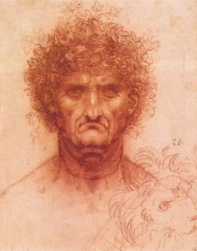 达芬奇最出名的画作怎么画（芬奇绘画作品全集）(52)