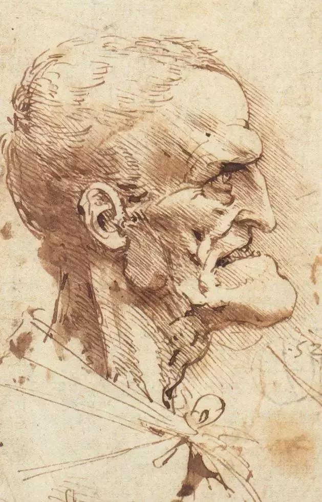 达芬奇最出名的画作怎么画（芬奇绘画作品全集）(70)