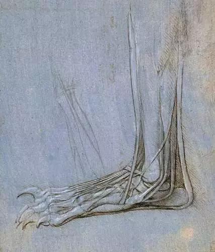 达芬奇最出名的画作怎么画（芬奇绘画作品全集）(84)
