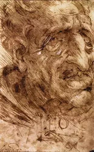 达芬奇最出名的画作怎么画（芬奇绘画作品全集）(96)