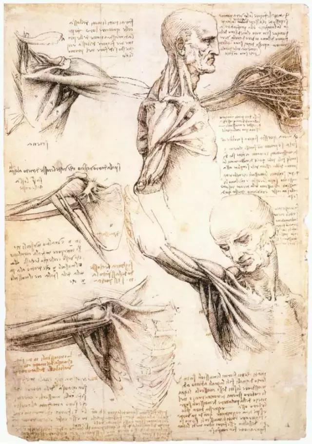 达芬奇最出名的画作怎么画（芬奇绘画作品全集）(83)