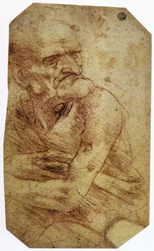 达芬奇最出名的画作怎么画（芬奇绘画作品全集）(93)