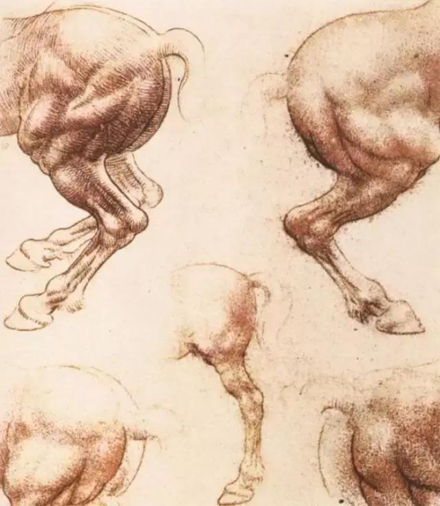 达芬奇最出名的画作怎么画（芬奇绘画作品全集）(104)