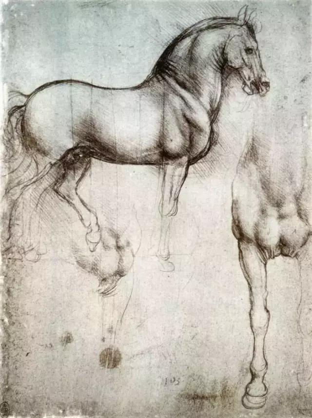 达芬奇最出名的画作怎么画（芬奇绘画作品全集）(108)
