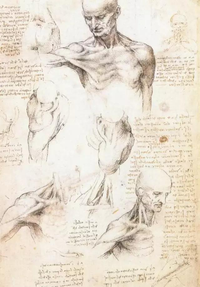 达芬奇最出名的画作怎么画（芬奇绘画作品全集）(114)