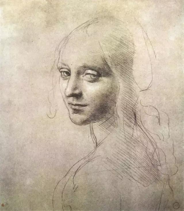 达芬奇最出名的画作怎么画（芬奇绘画作品全集）(139)