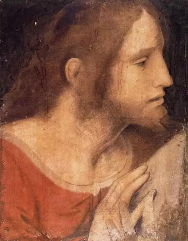 达芬奇最出名的画作怎么画（芬奇绘画作品全集）(145)