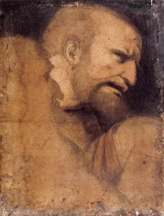 达芬奇最出名的画作怎么画（芬奇绘画作品全集）(142)
