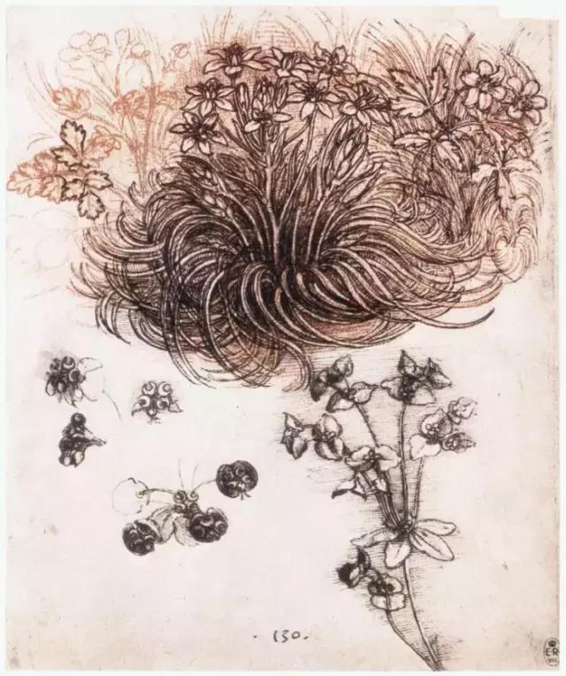 达芬奇最出名的画作怎么画（芬奇绘画作品全集）(185)